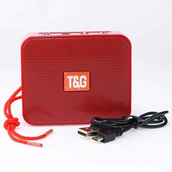 اسپیکر-بلوتوثی-قابل-حمل-تی-اند-جی-مدل-TG-166