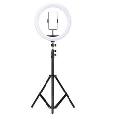 رینگ-لایت-پی-نتP-net-M-33-13-با-پایه-2-متری