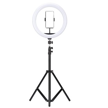 رینگ-لایت-پی-نتP-net-M-33-13-با-پایه-2-متری