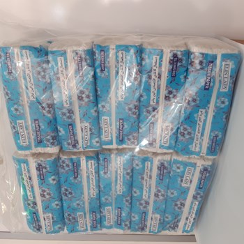 دستمال-کاغذی-100-برگ-الین-بانو-مدل-White-بسته-10-عددی