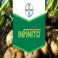 قارچ-کش-اینفینتو