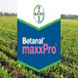 علف-کش-بتانال-مکس-ایکس-پرو
