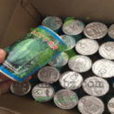 بذر-هندوانه-میکادو-ساترن