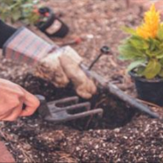 انجام-خدمات-باغبانی-و-مراقبت-از-باغچه-اراک