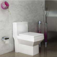 توالت-فرنگی-گلسار-مدل-استر