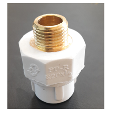 بوشنرو-پیچ-1-2-20