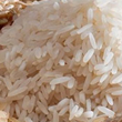 برنج-گیلانی-درجه-یک