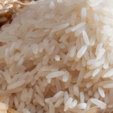 برنج-گیلانی-درجه-یک
