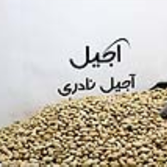 سویا-اجیلی-1-کیلویی