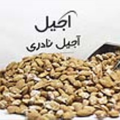 بادام-منقا-خارجی-یک-پوست-1-کیلویی