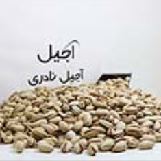 پسته-اکبری-اعلاء-خام-1-کیلویی