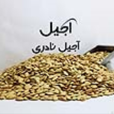 تخم-کدو-دو-آتیشه-500-گرمی