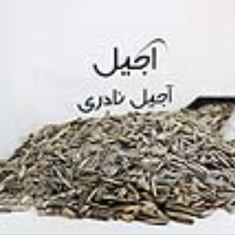 تخمه-آفتابگردان-تازه-دو-رنگ-500-گرمی