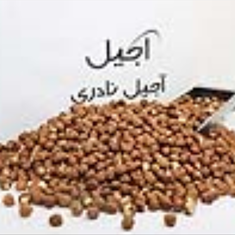 مغز-فندوق-ایرانی-خام-اعلاء-250-گرمی