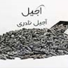تخمه-اقتابگردان-تازه-خوی-500-گرمی