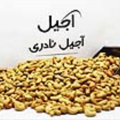 بادام-هندی-بوداده-250-گرمی