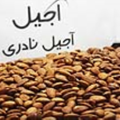 مغز-بادام-خارجی-بوداده-1-کیلویی