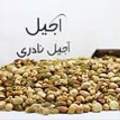 آجیل-شیرین-500-گرمی