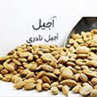 بادام-سنگی-250-گرمی