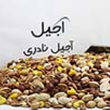 آجیل-شور-500-گرمی