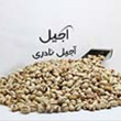 پسته-فندوقی-خام-دهن-باز-تو-چین500-گرمی