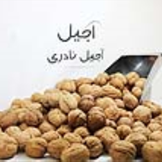 گردو-با-پوست-500-گرمی