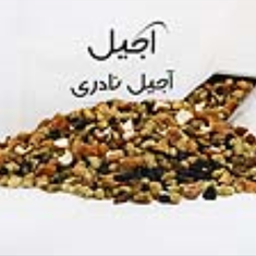 آجیل-مخصوص-چای-1-کیلویی