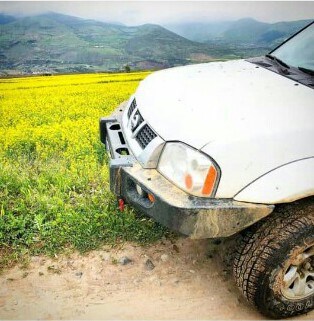 سپر-جلو-رونیز