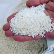برنج-هاشمی-اعلاء