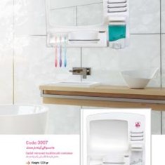 Sadaf-mirrored-toothbrush-container