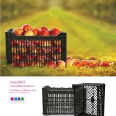 سلة-الفواکه-فی-أحجام-مختلفة