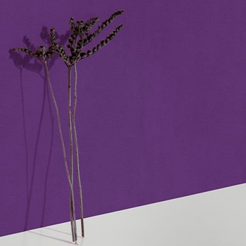 کاغذدیواری-مدادرنگی