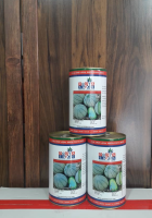 بذر-طالبی-سمسوری-پویا-سید