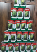 بذر-هندوانه-ناسکو