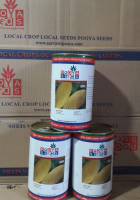 بذر-خربزه-خاتونی-پویا-سید