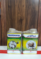 جشره-کش-پرفنفوس