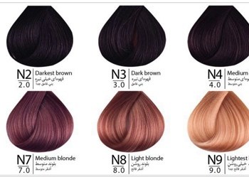 رنگ-مو-بنسای-شماره-N2-حجم-100-میلی-لیتر-رنگ-قهوه-ای-خیلی-تیره