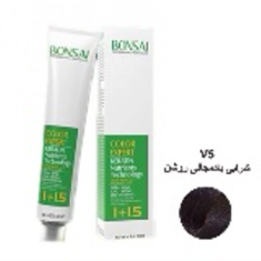 رنگ-مو-بنسای-شماره-V5-حجم-100-میلی-لیتر-رنگ-شرابی-بادمجانی-روشن