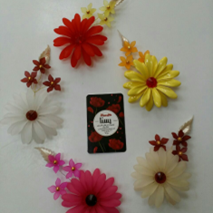 مگنت-گل-داوودی