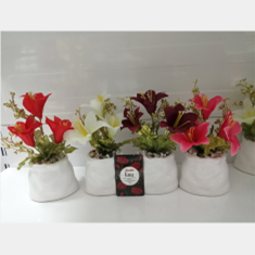 لیلیوم-فانتزی