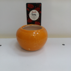 گلدان-کرویسایز2