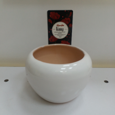 گلدان-کرویسایز3