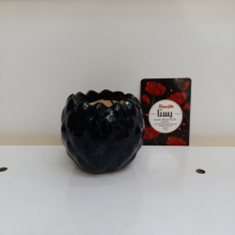 گلدان-آناناسی-کوچک