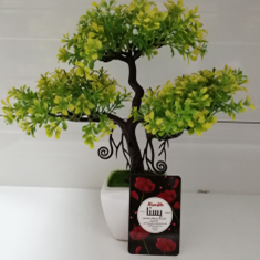 درختچه-ی-بنسای