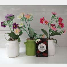 شکوفه-ریزمینا