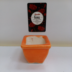 گلدان-مربع-کوچک