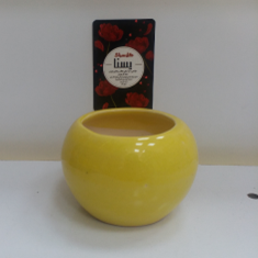 گلدان-کرویسایز2