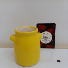 گلدان-شیرابی