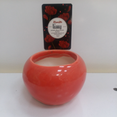 گلدان-کرویسایز2