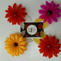 مگنت-گل-داوودی